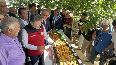 Tarım ve Orman Bakanı İbrahim Yumaklı, zirai don felaketinin ardından